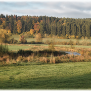 Der Lauf der Brigach durch das Tal