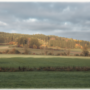 Der Blick auf die hügelige Waldlandschaft
