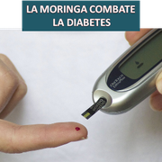 #LA MORINGA COMBATE LA DIABETES? diabetes, glucosa, antidiabetes, información de la diabetes, comprar moringa, 