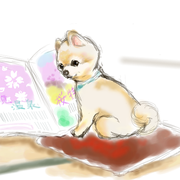 <A Href="http://ameblo.jp/moruqoo9922/entry-11478960836.html"style="red" Target="_blank">じゃらん犬俊介くん</A>
