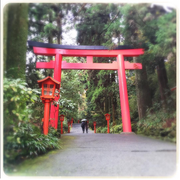 [Kuroneko no Instagram] 21/11/2015 Fui para Hakone Shrine em uma viagem de um dia 😊✨