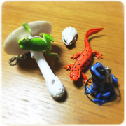 [Kuroneko no Instagram] 31/01/2016 Eu finalmente consegui "cogumelo e rã de árvore 'brinquedo cápsula que eu queria 😍🐸💕 tão fofo💕
