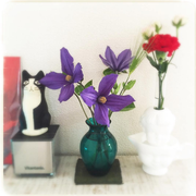 [Kuroneko no Instagram] 08/05/2016 Gosto de decorar meu quarto com flores 🌹🌷💐 Clematis roxo é tão bonito 😊✨