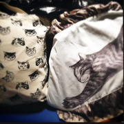 [Kuroneko no Instagram] 11/01/2015 Ensaio dia 06! Minha bolsa de (Neko) gato!