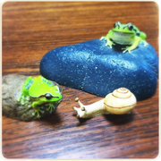 [Kuroneko no Instagram] 14/01/2016 Adoráveis figuras de sapo realistas são feitas por Kaeru-Kobo 😆💕🐸🐌