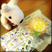 [KURONEKO no Instagram] 09/02/2015 Bolo de limão e chá Earl Grey fazem uma boa combinação. Boa noite a todos, tenham doces sonhos. #カレルチャペック紅茶店 #美味しいちゃん
