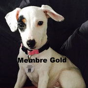 Malya - Ref 20120916 - Cliquez pour voir le profil détaillé