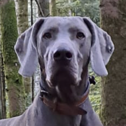 George