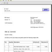 DirectFile opens immediately (here: offer document)