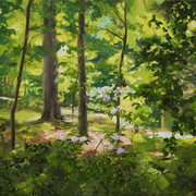 Trail - SOLD