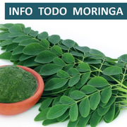 INFORMACIÓN MORINGA