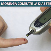 La moringa combate la Diabetes?
