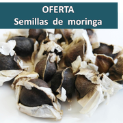 OFERTA SEMILLAS
