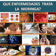 ENFERMEDADES QUE TRATA LA MORINGA