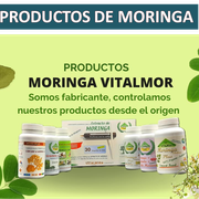 PRODUCTOS DE MORINGA