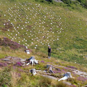 Ormaig rockart site with Ormaig Landart Project in the background. Photography: Aaron Watson