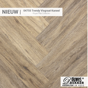 04755 Trendy Visgraat Kaneel