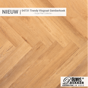 04731 Trendy Visgraat Gemberkoek