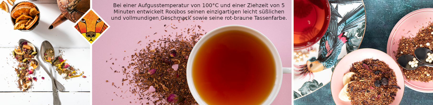 Rooibos