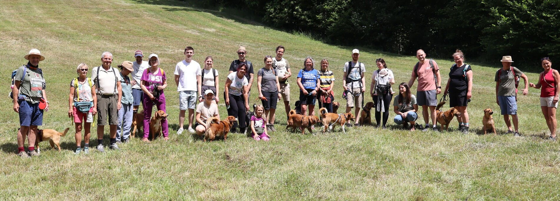 wandern-oepi-pinscher-kurzhaarpinscher-eggersdorf-steiermark-greithgraben-purgstall-wimmerfarm