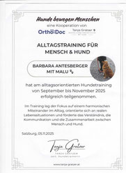 Abschlussmodul von Leiha bei CaniCus