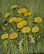 Löwenzahn 40x50 Acryl 