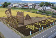 2016田舎館 田んぼアート