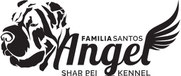 Familia Santos Angel Sharpei kennel; sharpei kennel; FCI; UKU; sharpei dog poster; creative dog pet advert; most beautiful dog pet poster; luxury dog pet cat poster advertising; sharpei dog; pitomnik Familia Santos Angel Sharpei; krasivaya reklama zhivotn