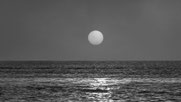 Lampedusa by Peter Schreiner