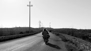 Lampedusa by Peter Schreiner