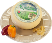 maremma misto mucca vacca bovino pecora formaggio caseificio toscano toscana spadi follonica forma intera italiano origine latte italia caciotta vegetariana vegetariano caglio microbico