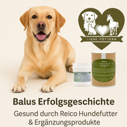 Wie Reico den Darm wieder ins Gleichgewicht bringt.