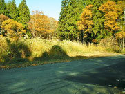 長野県上水内郡信濃町大字野尻字黒姫山、黒姫保健休養地内の別荘地。