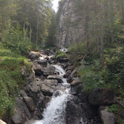 ... manchmal rauh und wild ...