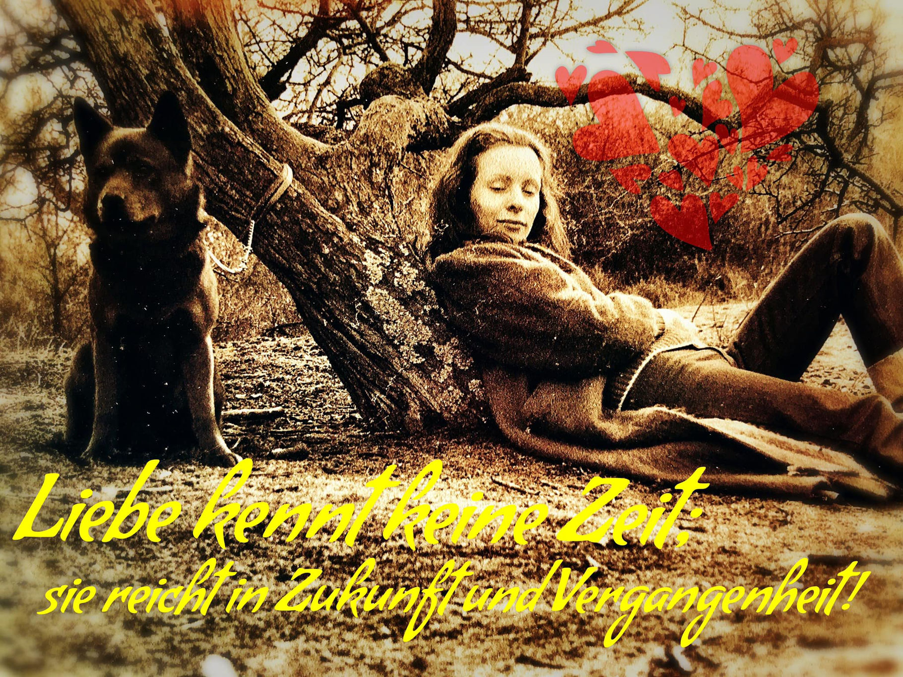 Liebe kennt keine Zeit wolfbornindiearts