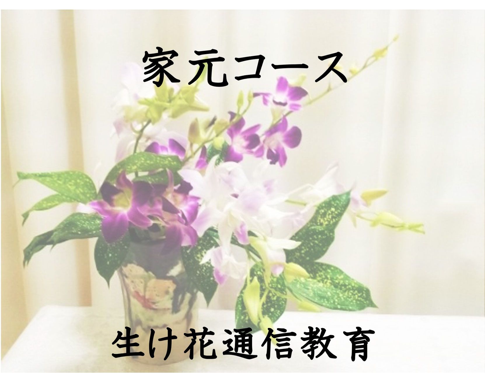 期間限定 22 1 1 1 14 無料体験のご案内 Yumehana School