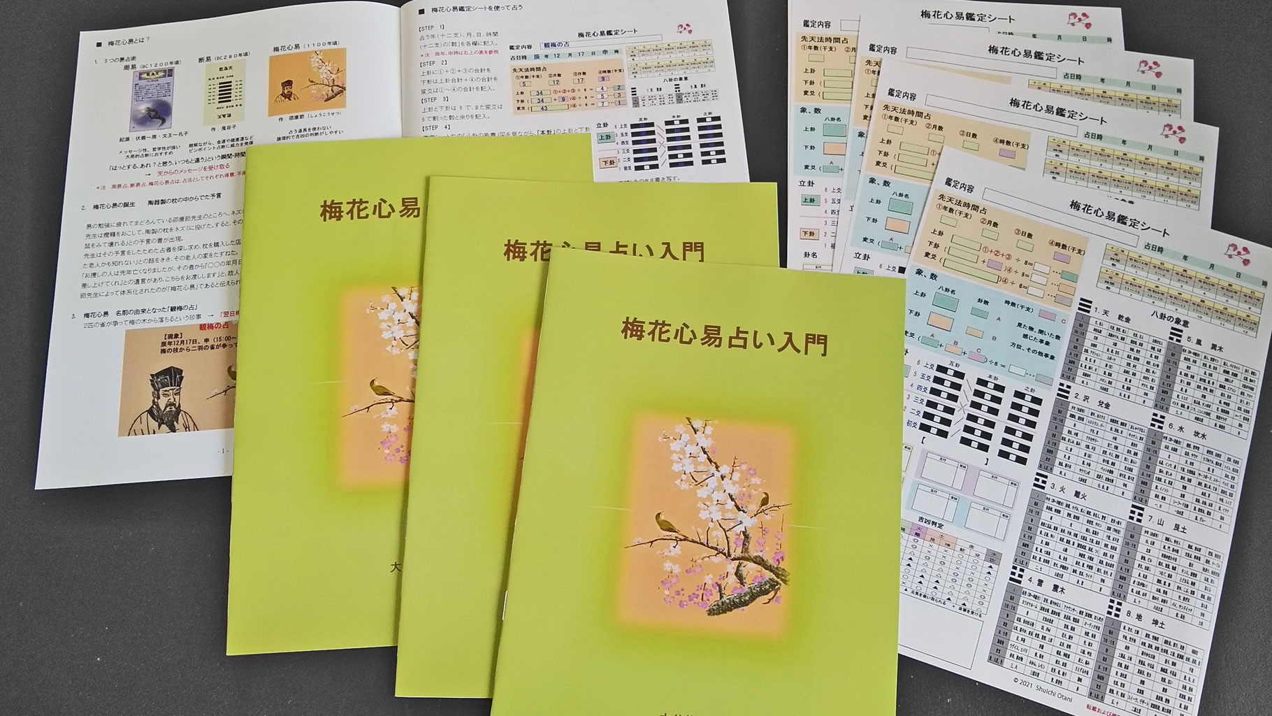 【chau0504】梅花心易入門と五行梅花易カードセット c100c634e1d2999384a94f6539e9ce