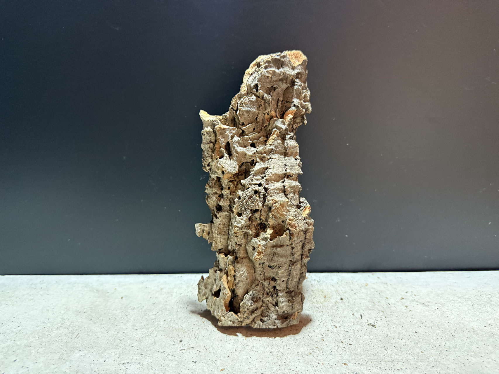 オリジナルコルク(筒状タイプ) - 水槽素材【公式】