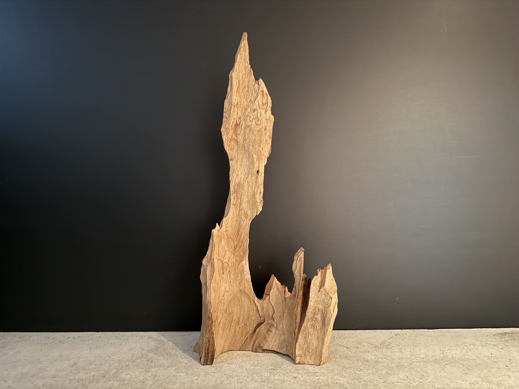 極上　スラウェシウッド　塊状流木　岩石 極上 スラウェシウッド 塊状流木 岩石