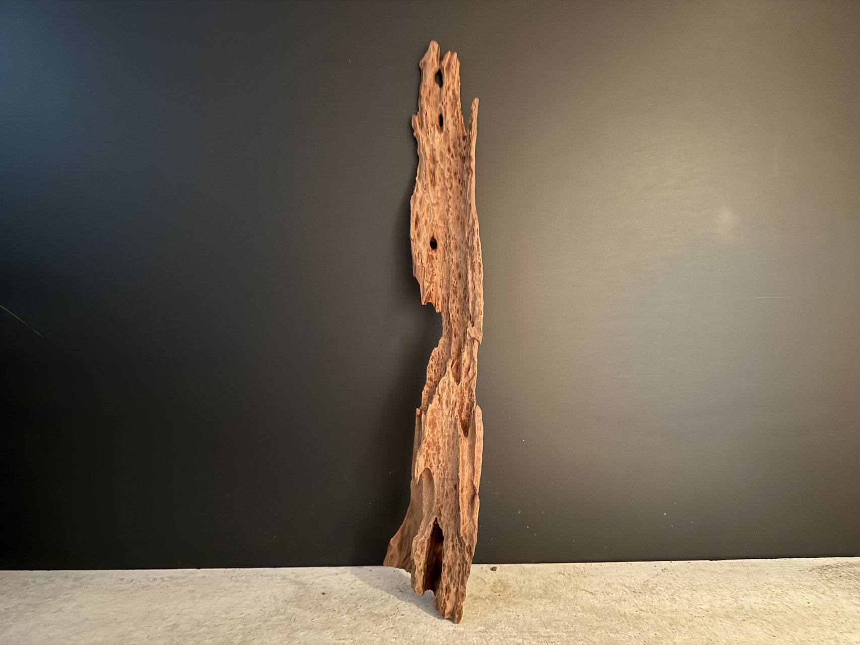 アクアリウムや爬虫類の流木ならスラウェシウッド - 水槽素材