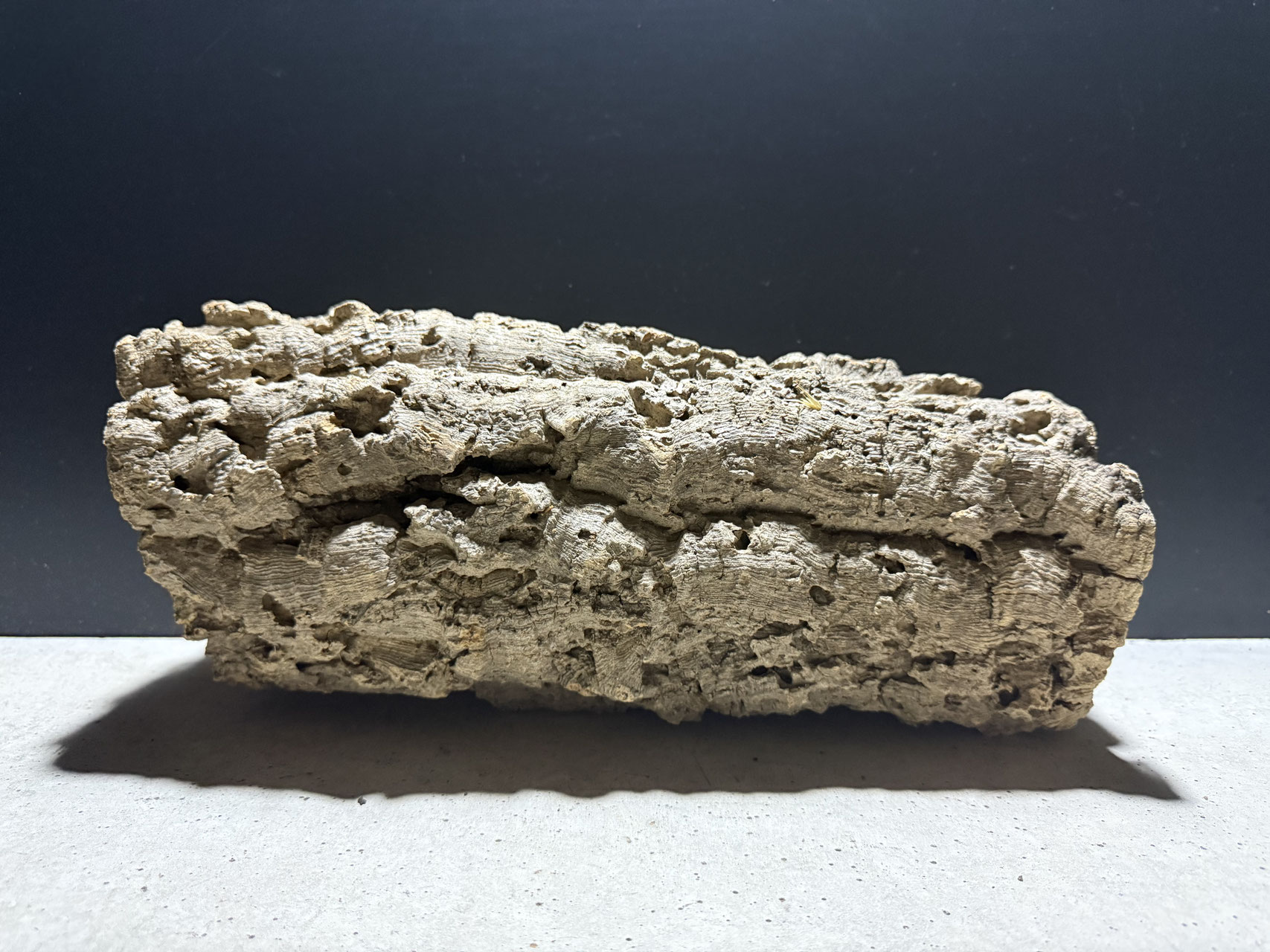 パルダリウム　コルク オリジナルコルク(筒状タイプ) - 水槽素材【公式】