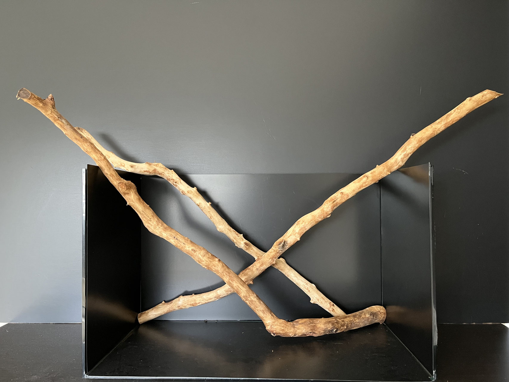 長棒状流木】スティックウッド - 水槽素材【公式】