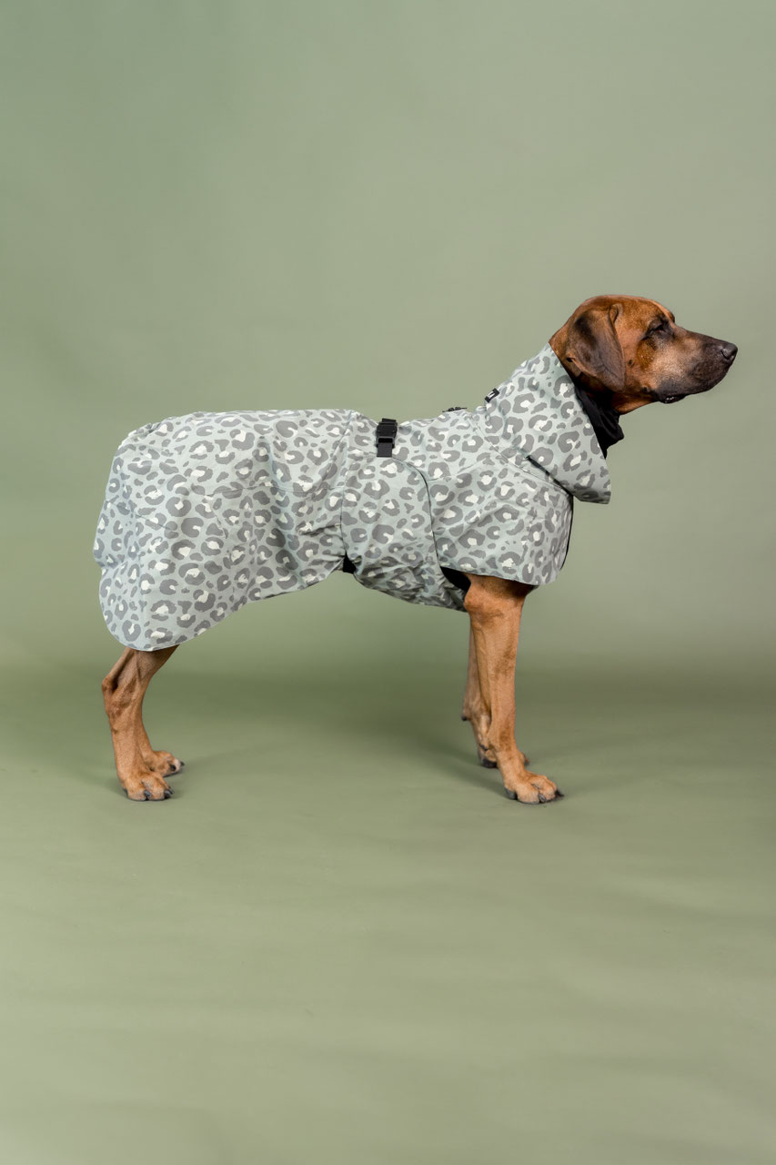 hundebett orthopdisch waschbar Hundebett waschbar jetzt online bestellen