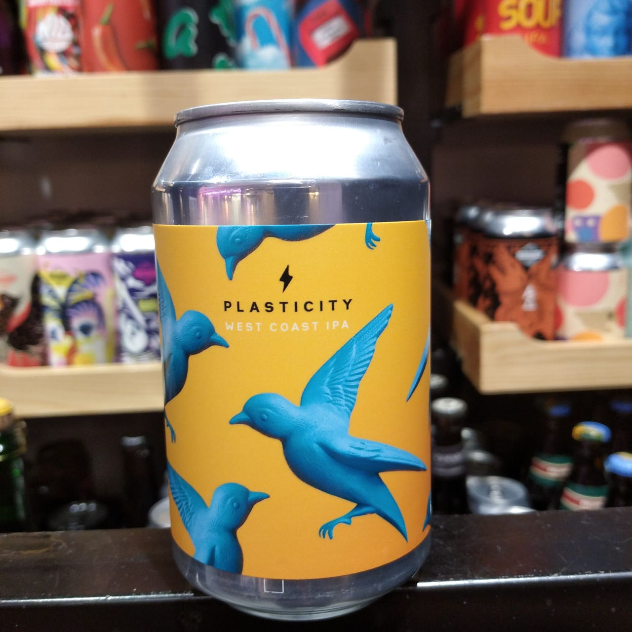 Plasticity, Garage Plasticity, Garage