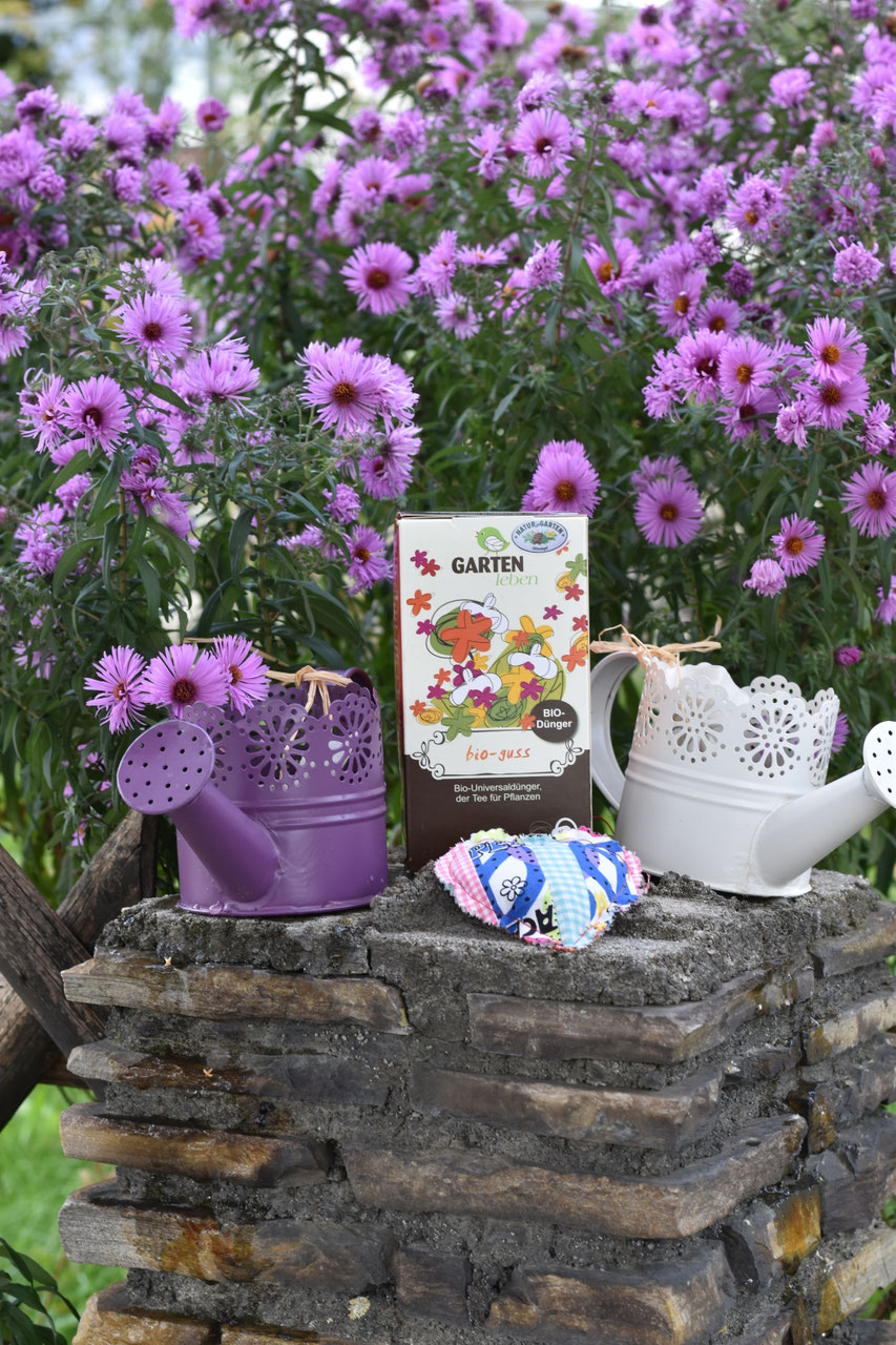 wie oft bambus düngen Bambus Dünger Flora Boost für gesunde und prächtige Bambuspflanzen