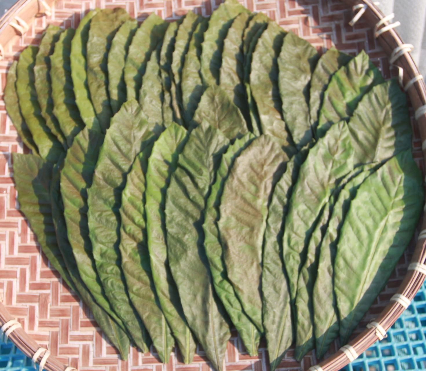 柚葉様ご確認用 柚葉様ご確認用 柚葉様ご確認用 柚葉 (@yuzuha_yzyz) /