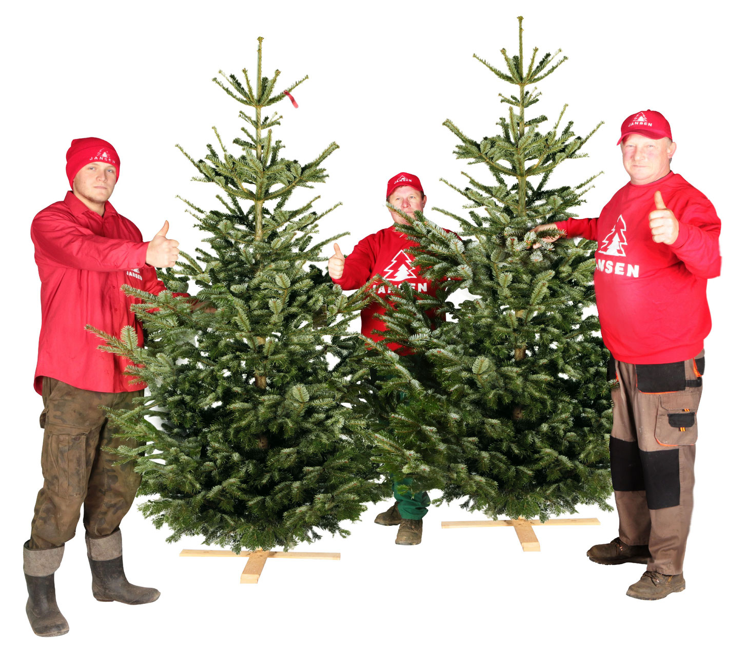 Weihnachtsbaum aufstellen / Tannenbaum aufstellen Weihnachtsbaum Hamburg