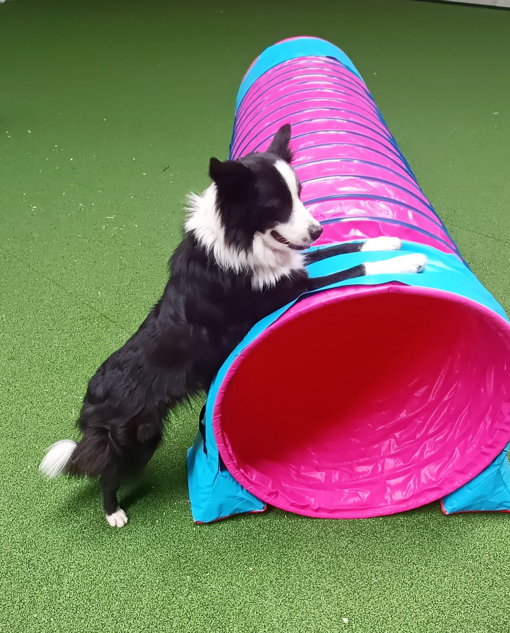 Tunnel Callieway® the smartest way!