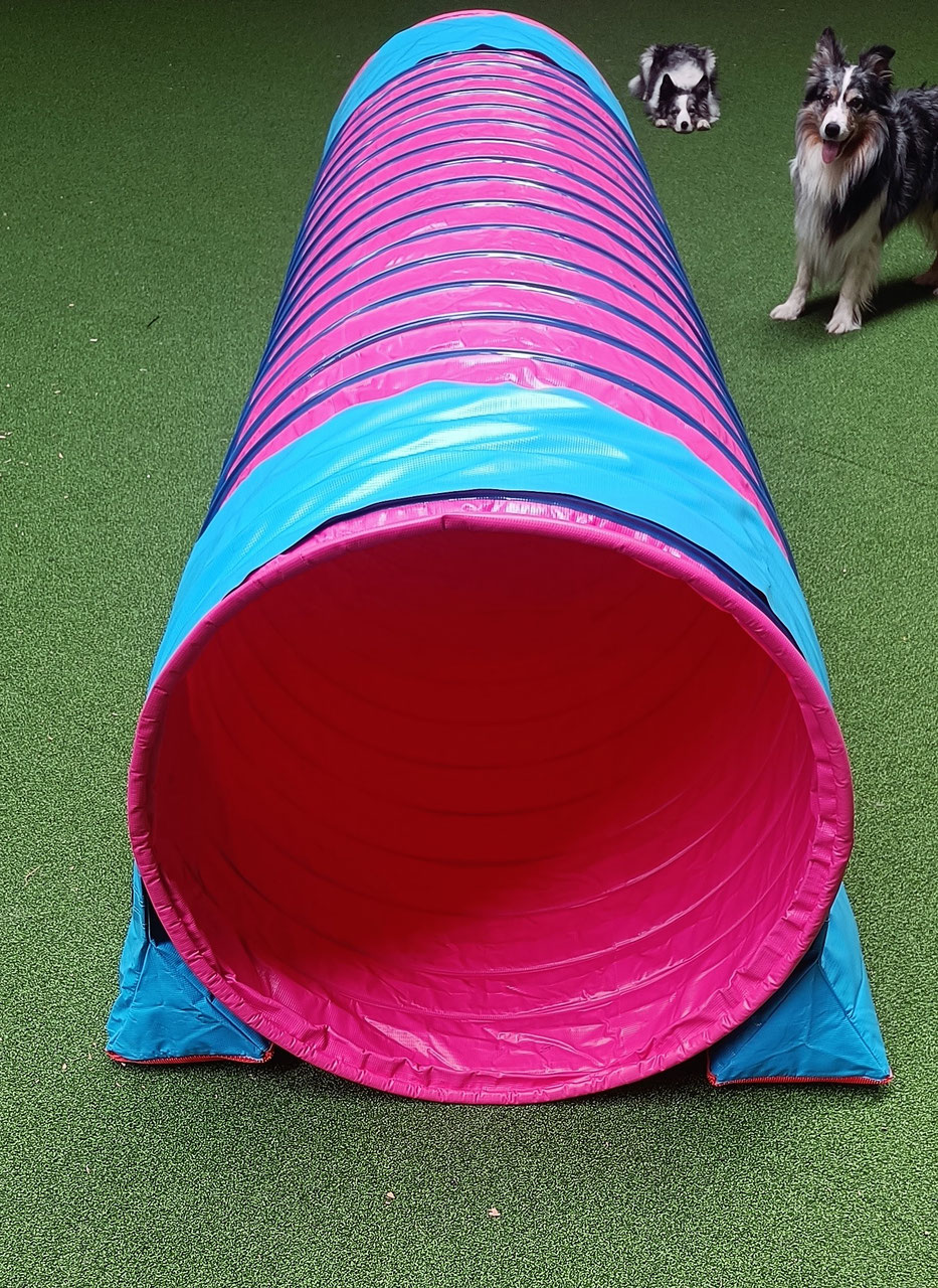 Tunnel Callieway® the smartest way!