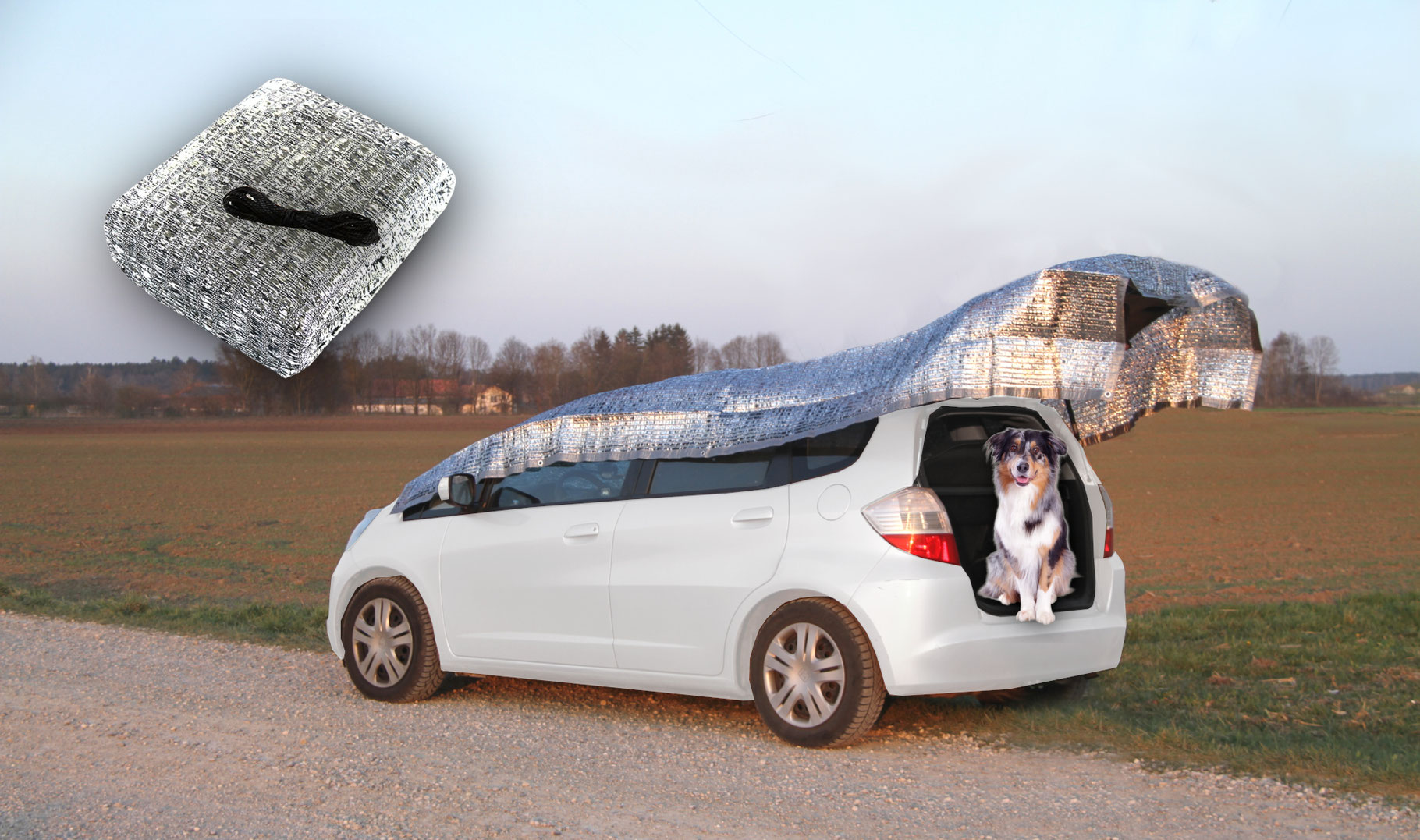Auto Sonnenschutz Hund Pfotenfreude